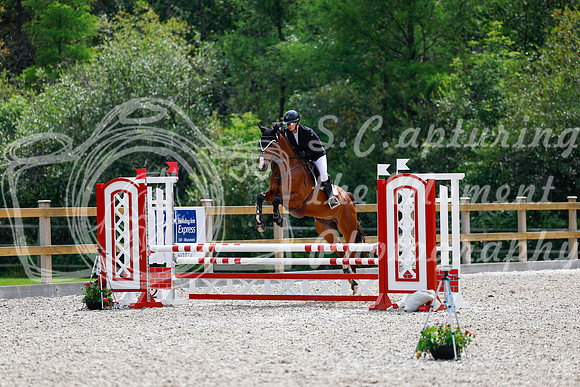 2025 - Haylee - Picco Horse Show - Sunday July 27th 03943
