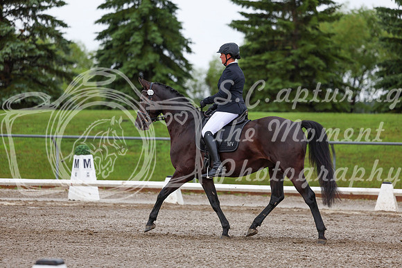 2025 - Dressage Festival - Sunday July 6th - 01899
