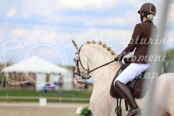 2025 - Dressage Festival - Saturday July 5th - 12074