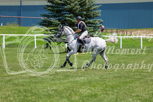 2025 - Shea - Teesdale - Thursday July 24th - 02555