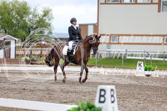 2025 - Dressage Festival - Sunday July 6th - 09569