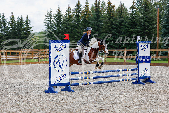 2025 - Haylee - Picco Horse Show - Sunday July 27th 01686