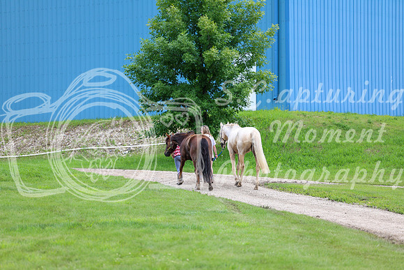 2025 - Shea - Teesdale - Thursday July 24th - 00016