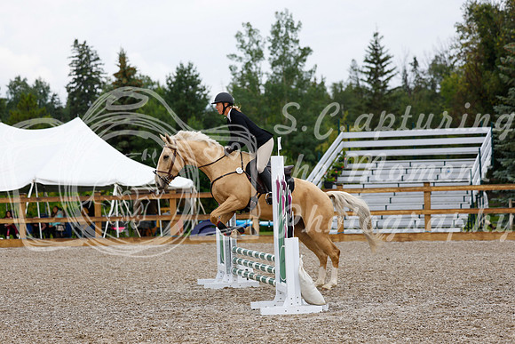 2025 - Haylee - Picco Horse Show - Sunday July 27th 00295