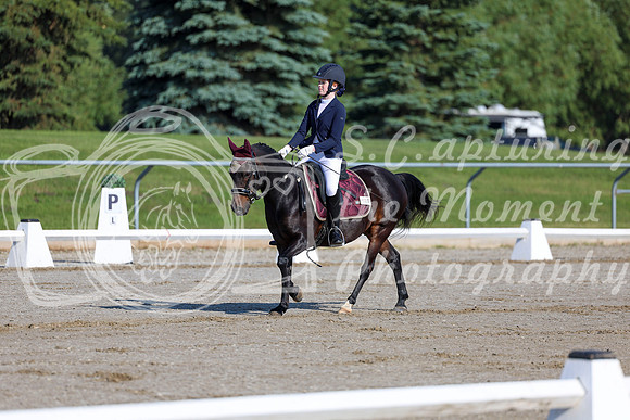 2025 - Dressage Festival - Saturday July 5th - 00663