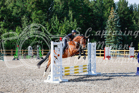2025 - Haylee - Picco Horse Show - Thursday July 24th 00863