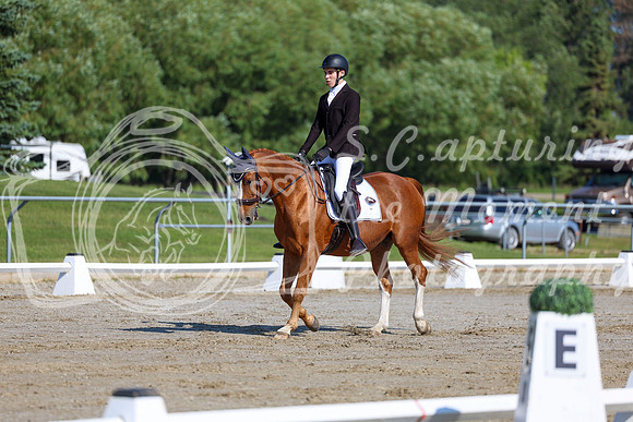 2025 - Dressage Festival - Saturday July 5th - 01651
