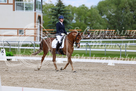 2025 - Dressage Festival - Saturday July 5th - 11813