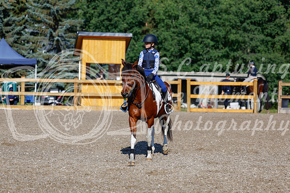 2025 - Haylee - Picco Horse Show - Thursday July 24th 00534