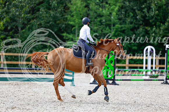 2025 - Haylee - Picco Horse Show - Thursday July 24th 01820