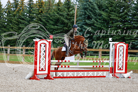 2025 - Haylee - Picco Horse Show - Saturday July 26th 06089
