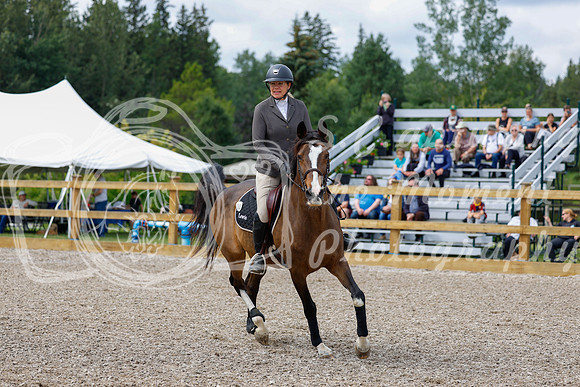 2025 - Haylee - Picco Horse Show - Saturday July 26th 03960