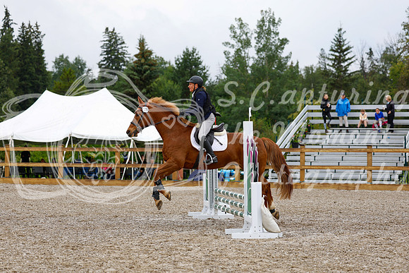 2025 - Haylee - Picco Horse Show - Sunday July 27th 00780
