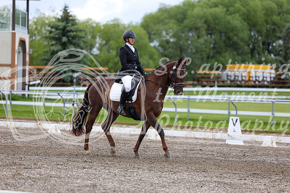2025 - Dressage Festival - Sunday July 6th - 09579
