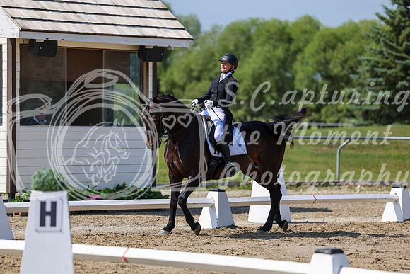 2025 - Dressage Festival - Saturday July 5th - 03747