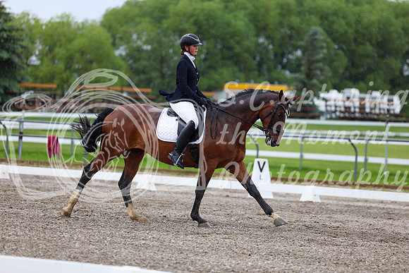 2025 - Dressage Festival - Sunday July 6th - 04428