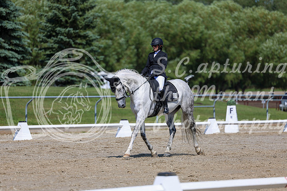 2025 - Dressage Festival - Saturday July 5th - 04749