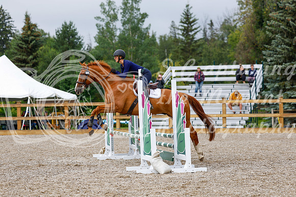 2025 - Haylee - Picco Horse Show - Sunday July 27th 01247