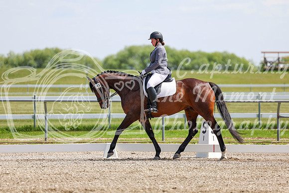 2025 - Dressage Festival - Saturday July 5th - 07047