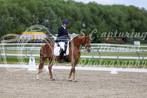 2025 - Dressage Festival - Saturday July 5th - 11821