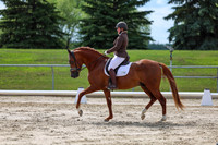 2025 - Dressage Festival - Saturday July 5th - 14152