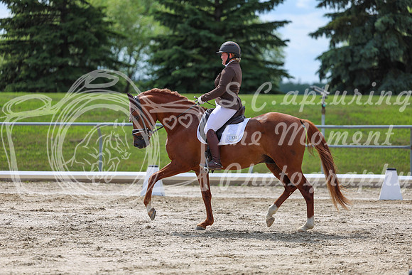 2025 - Dressage Festival - Saturday July 5th - 14152