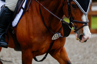 2025 - Haylee - Picco Horse Show - Friay July 25th 00015