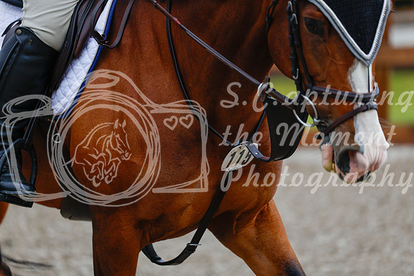 2025 - Haylee - Picco Horse Show - Friay July 25th 00015