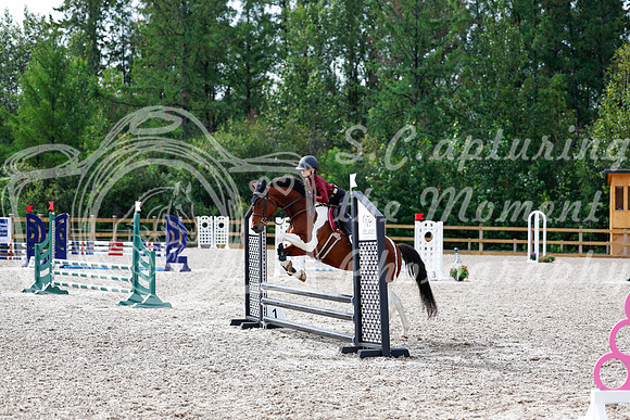 2025 - Haylee - Picco Horse Show - Friay July 25th 00858