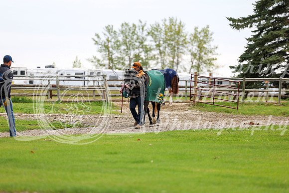 2025 - Shea - Bow Valley II - Friday May 16th - 00070