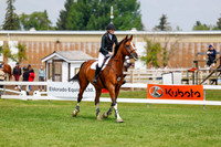 2025 - Haylee - Jump With Hope - Saturday July 19th 07918