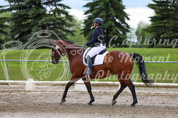 2025 - Dressage Festival - Sunday July 6th - 11805