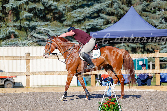 2025 - Haylee - Picco Horse Show - Thursday July 24th 00258