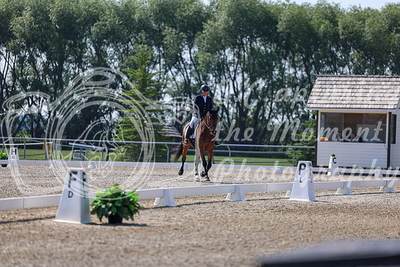 2025 - Dressage Festival - Saturday July 5th - 02376