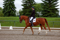2025 - Dressage Festival - Sunday July 6th - 01327