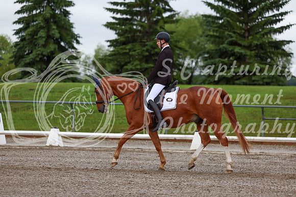 2025 - Dressage Festival - Sunday July 6th - 01327