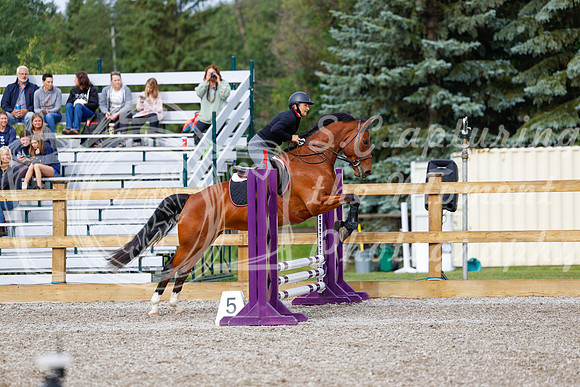 2025 - Haylee - Picco Horse Show - Friay July 25th 00622