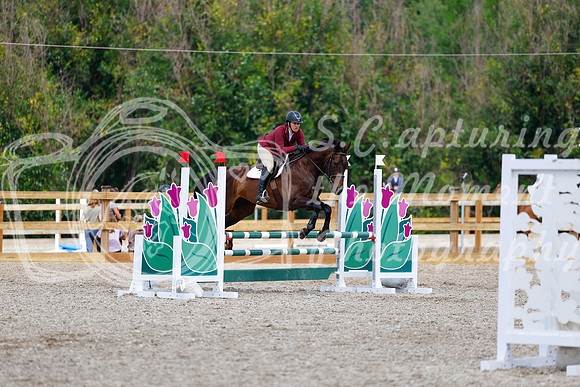 2025 - Haylee - Picco Horse Show - Saturday July 26th 06624