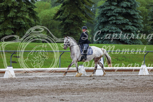 2025 - Dressage Festival - Sunday July 6th - 02165