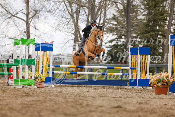 2025 - Shea - Bow Valley II - Thursday May 15th - 03846