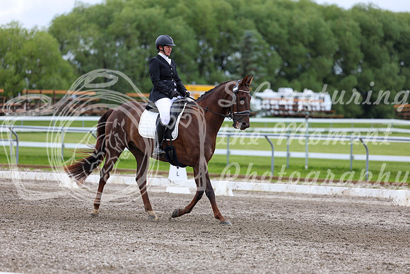 2025 - Dressage Festival - Sunday July 6th - 09586
