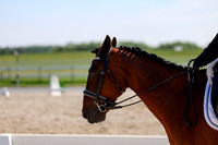 2025 - Dressage Festival - Saturday July 5th - 05149