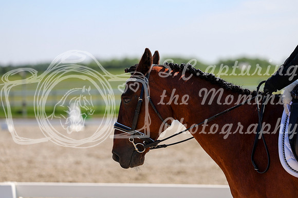 2025 - Dressage Festival - Saturday July 5th - 05149