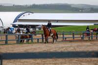 2025 - Shea - Mid Summer Classic II - Thursday July 17th - 00929