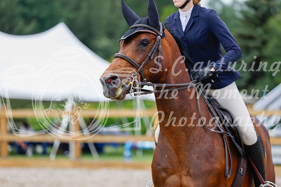 2025 - Haylee - Picco Horse Show - Saturday July 26th 04652