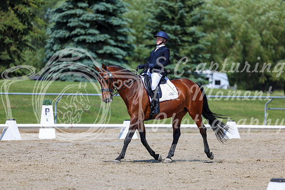 2025 - Dressage Festival - Saturday July 5th - 05648