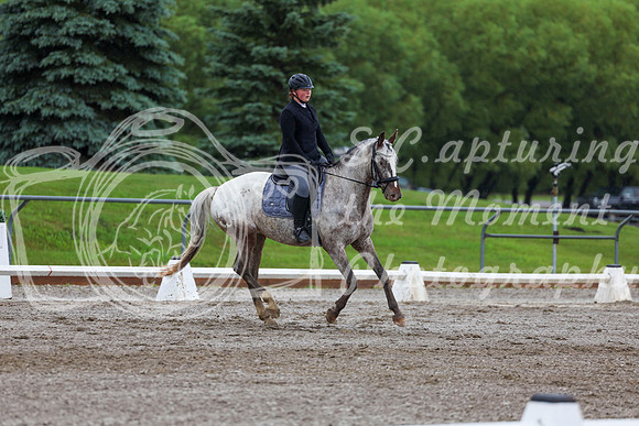 2025 - Dressage Festival - Sunday July 6th - 02295