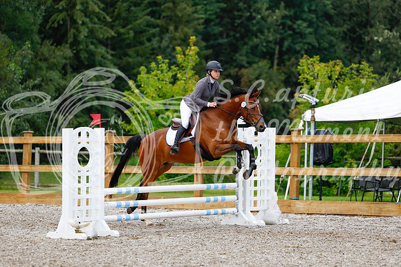 2025 - Haylee - Picco Horse Show - Sunday July 27th 01841