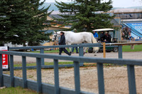 2025 - Shea - Bow Valley II - Friday May 16th - 00004