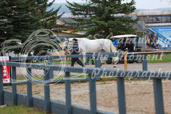 2025 - Shea - Bow Valley II - Friday May 16th - 00004